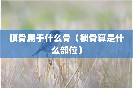 锁骨属于什么骨（锁骨算是什么部位）