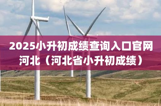 2025小升初成绩查询入口官网河北（河北省小升初成绩）