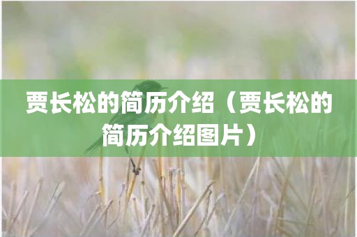 贾长松的简历介绍(贾长松的简历介绍图片)