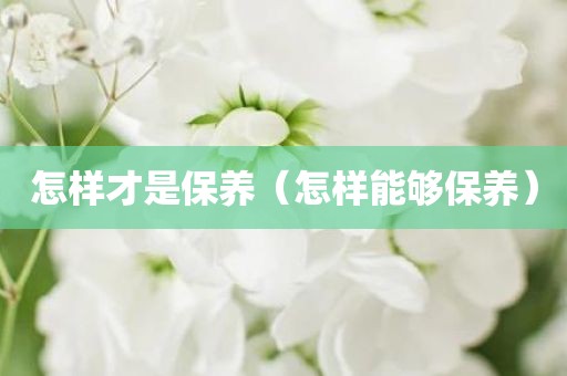 怎样才是保养（怎样能够保养）