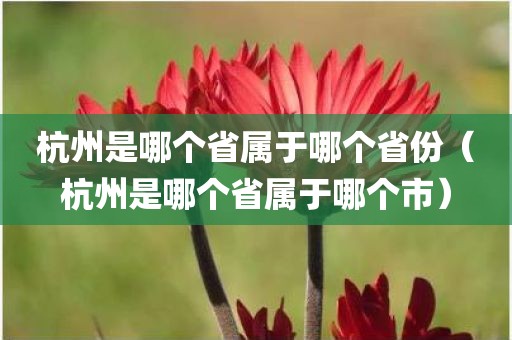 杭州是哪个省属于哪个省份（杭州是哪个省属于哪个市）
