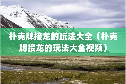 扑克牌接龙的玩法大全（扑克牌接龙的玩法大全视频）
