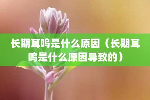 长期耳鸣是什么原因（长期耳鸣是什么原因导致的）