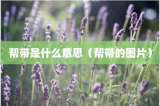 帮带是什么意思（帮带的图片）