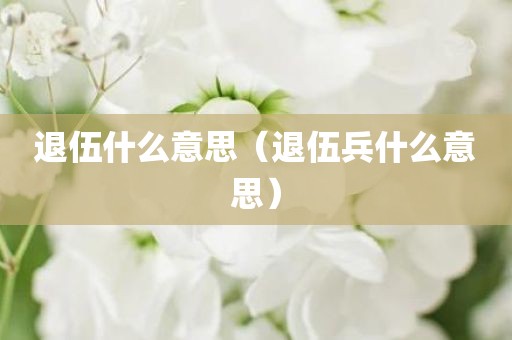 退伍什么意思（退伍兵什么意思）