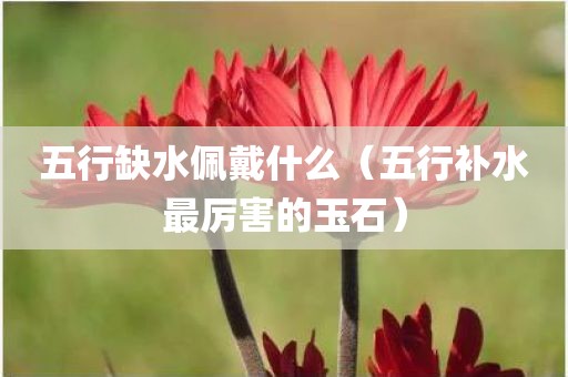 五行缺水佩戴什么（五行补水最厉害的玉石）