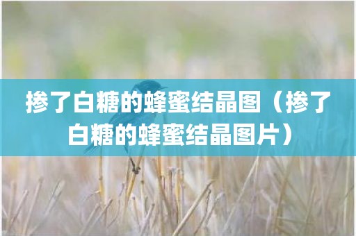 掺了白糖的蜂蜜结晶图（掺了白糖的蜂蜜结晶图片）