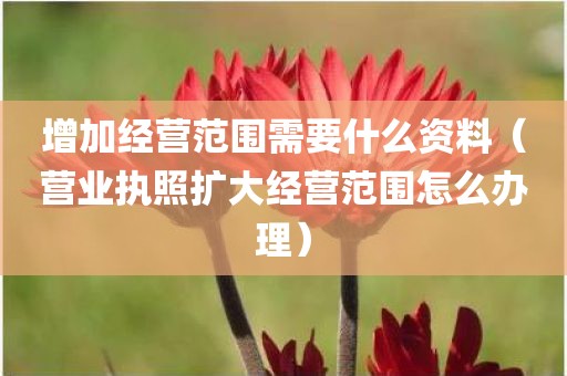 增加经营范围需要什么资料（营业执照扩大经营范围怎么办理）