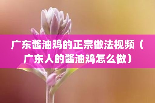 广东酱油鸡的正宗做法视频（广东人的酱油鸡怎么做）