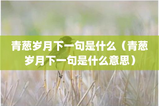 青葱岁月下一句是什么（青葱岁月下一句是什么意思）