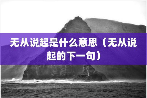 无从说起是什么意思（无从说起的下一句）