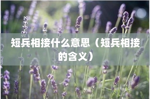 短兵相接什么意思（短兵相接的含义）