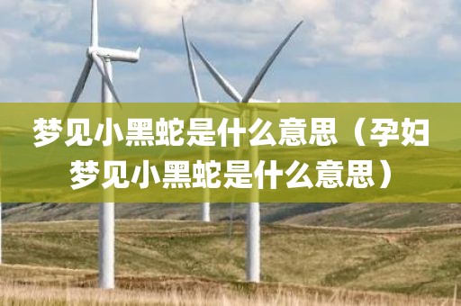 梦见小黑蛇是什么意思（孕妇梦见小黑蛇是什么意思）