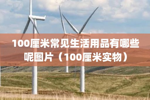 100厘米常见生活用品有哪些呢图片（100厘米实物）