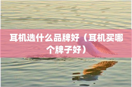 耳机选什么品牌好（耳机买哪个牌子好）