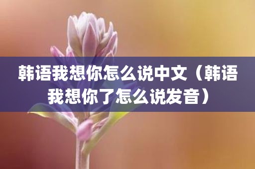 韩语我想你怎么说中文（韩语我想你了怎么说发音）
