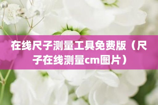 在线尺子测量工具免费版（尺子在线测量cm图片）