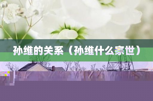 孙维的关系（孙维什么家世）