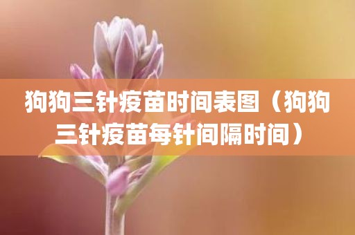 狗狗三针疫苗时间表图(狗狗三针疫苗每针间隔时间)