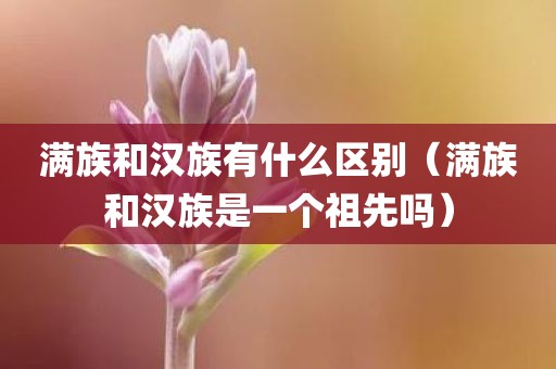 满族和汉族有什么区别（满族和汉族是一个祖先吗）