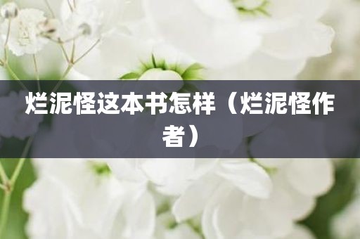 烂泥怪这本书怎样（烂泥怪作者）