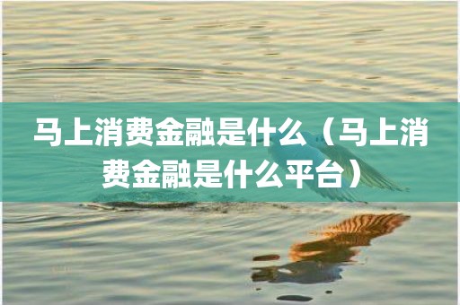 马上消费金融是什么（马上消费金融是什么平台）