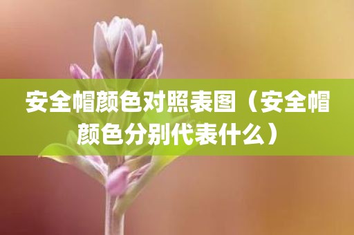安全帽颜色对照表图（安全帽颜色分别代表什么）