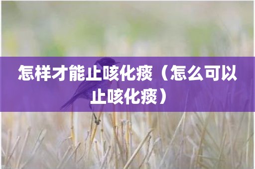 怎样才能止咳化痰（怎么可以止咳化痰）