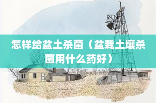 怎样给盆土杀菌（盆栽土壤杀菌用什么药好）
