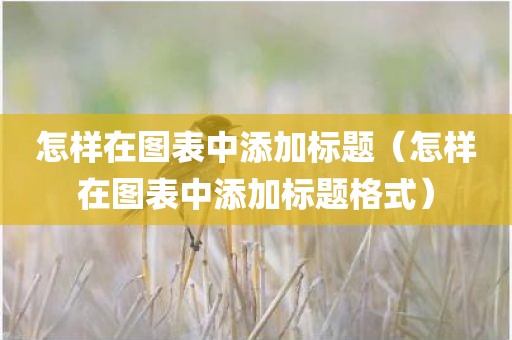 怎样在图表中添加标题（怎样在图表中添加标题格式）