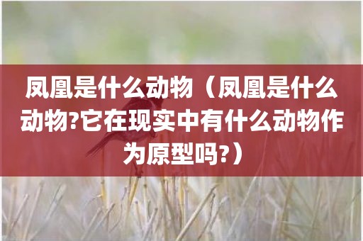 凤凰是什么动物（凤凰是什么动物?它在现实中有什么动物作为原型吗?）
