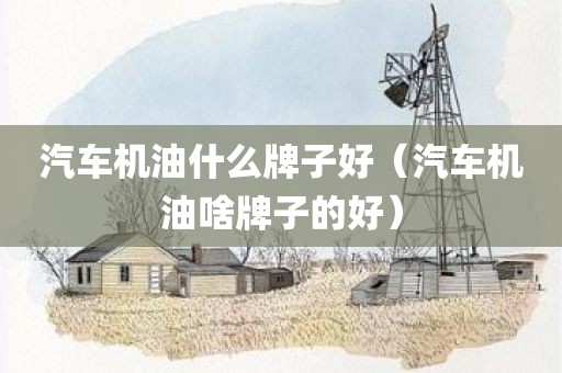 汽车机油什么牌子好（汽车机油啥牌子的好）