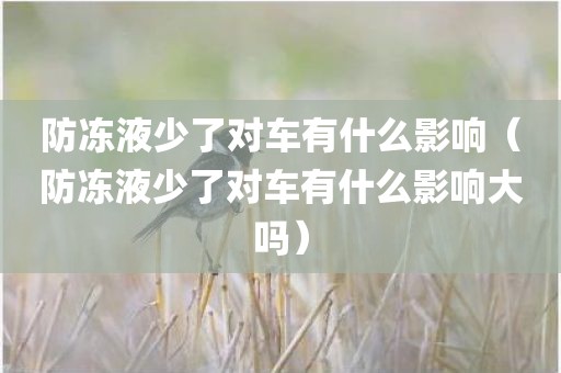 防冻液少了对车有什么影响(防冻液少了对车有什么影响大吗)