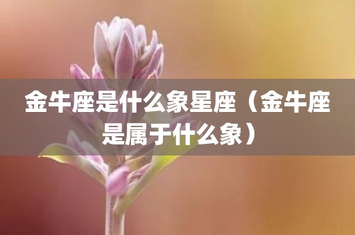 金牛座是什么象星座（金牛座是属于什么象）