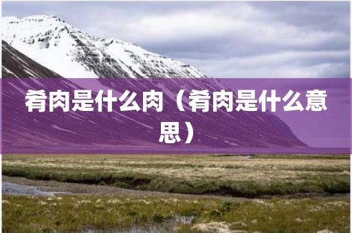 肴肉是什么肉（肴肉是什么意思）