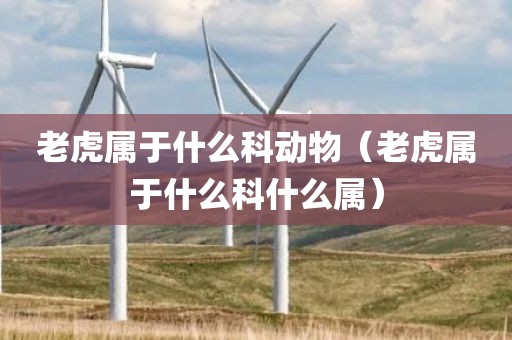老虎属于什么科动物（老虎属于什么科什么属）