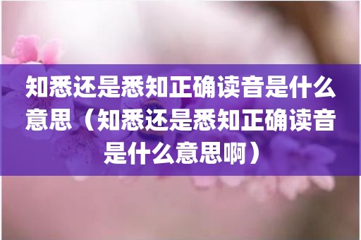 知悉还是悉知正确读音是什么意思（知悉还是悉知正确读音是什么意思啊）