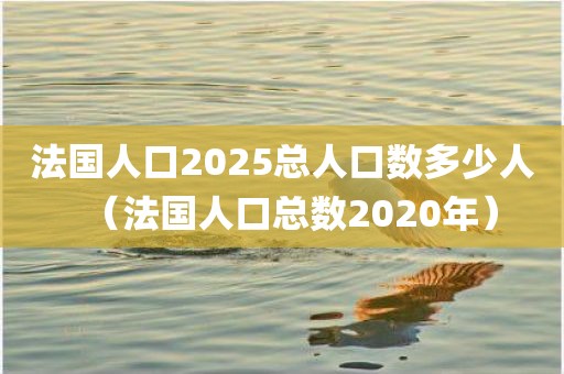 法国人口2025总人口数多少人（法国人口总数2020年）