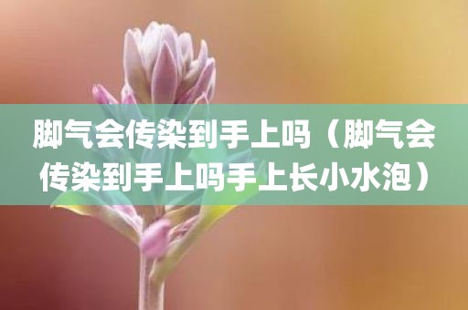脚气会传染到手上吗（脚气会传染到手上吗手上长小水泡）