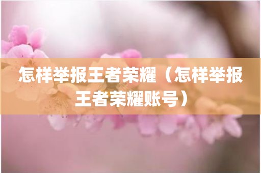 怎样举报王者荣耀（怎样举报王者荣耀账号）