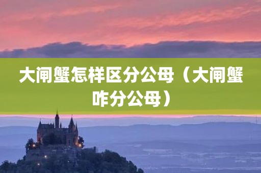 大闸蟹怎样区分公母（大闸蟹咋分公母）