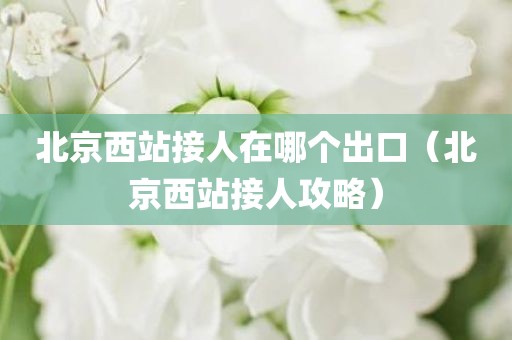 北京西站接人在哪个出口（北京西站接人攻略）