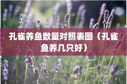 孔雀养鱼数量对照表图（孔雀鱼养几只好）