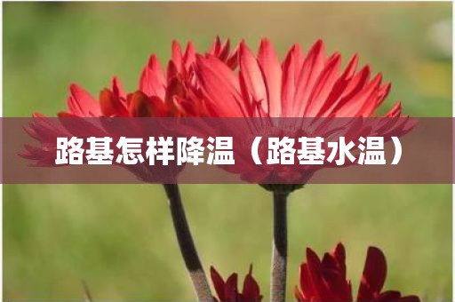 路基怎样降温（路基水温）