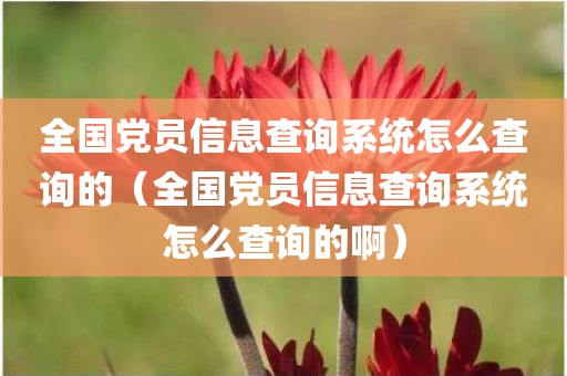 全国党员信息查询系统怎么查询的（全国党员信息查询系统怎么查询的啊）