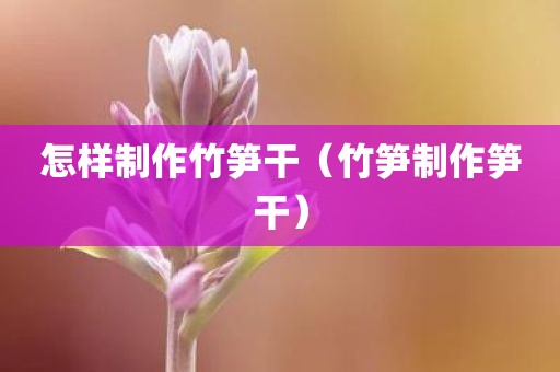 怎样制作竹笋干（竹笋制作笋干）
