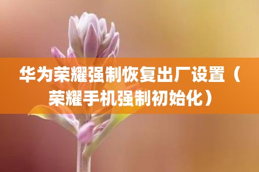 华为荣耀强制恢复出厂设置（荣耀手机强制初始化）