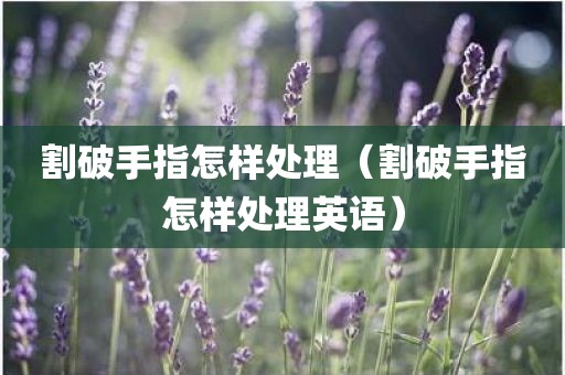 割破手指怎样处理（割破手指怎样处理英语）