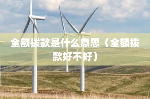 全额拨款是什么意思(全额拨款好不好)