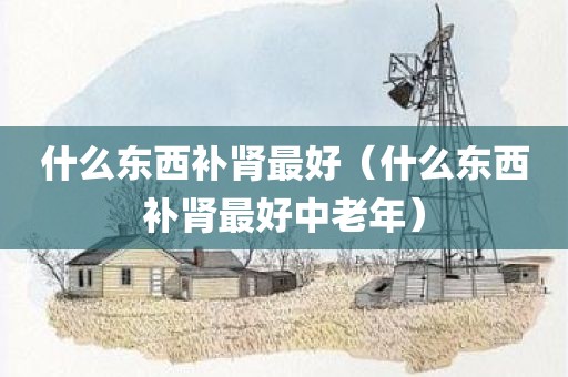 什么东西补肾最好（什么东西补肾最好中老年）